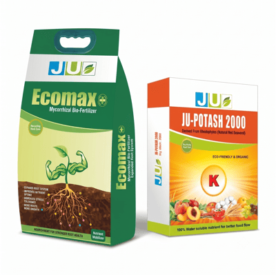 Crop Nutrition