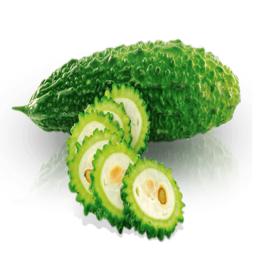 Bitter gourd