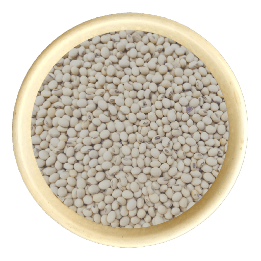 Soybean