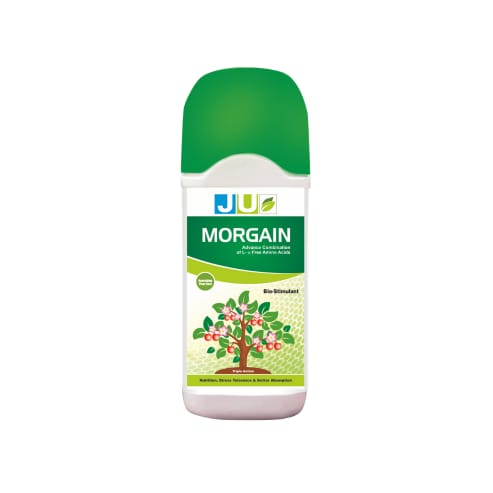 JU Morgain | Biostimulant