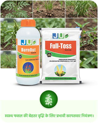Herbicides