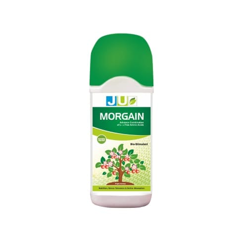 JU Morgain | Biostimulant
