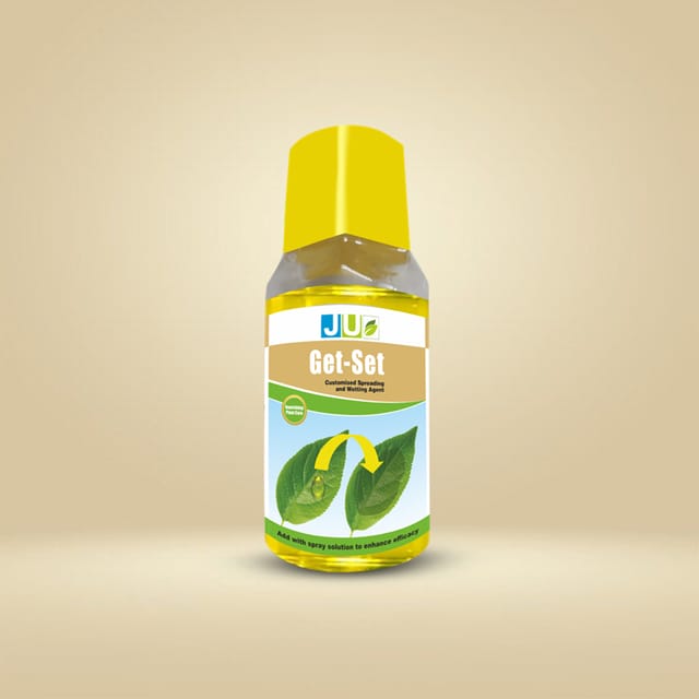 GET-SET | Slicone Spreader