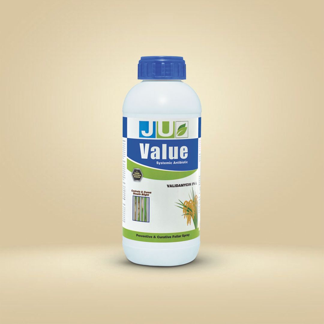Value | VALIDAMYCIN 3% L | Fungicide