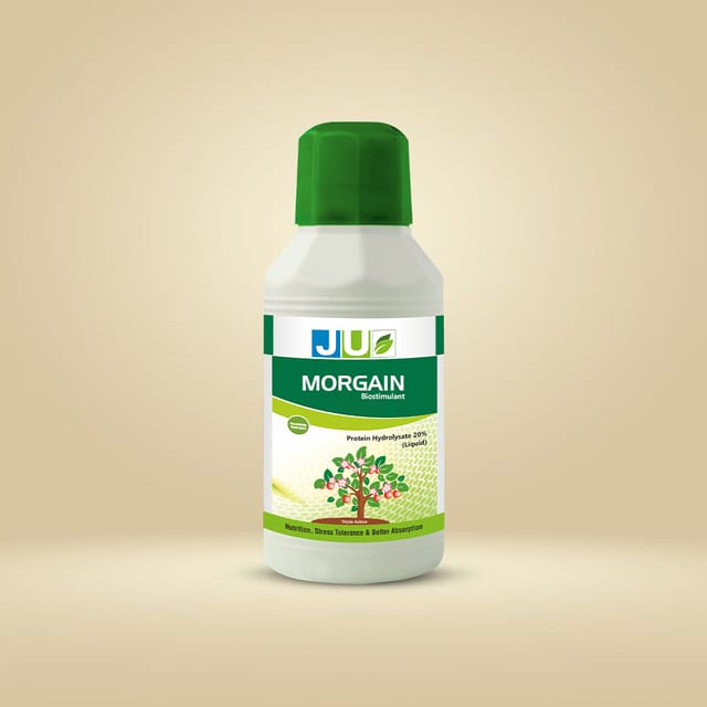 JU Morgain | Biostimulant
