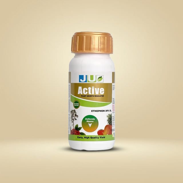 ACTIVE