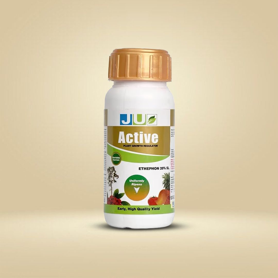 ACTIVE